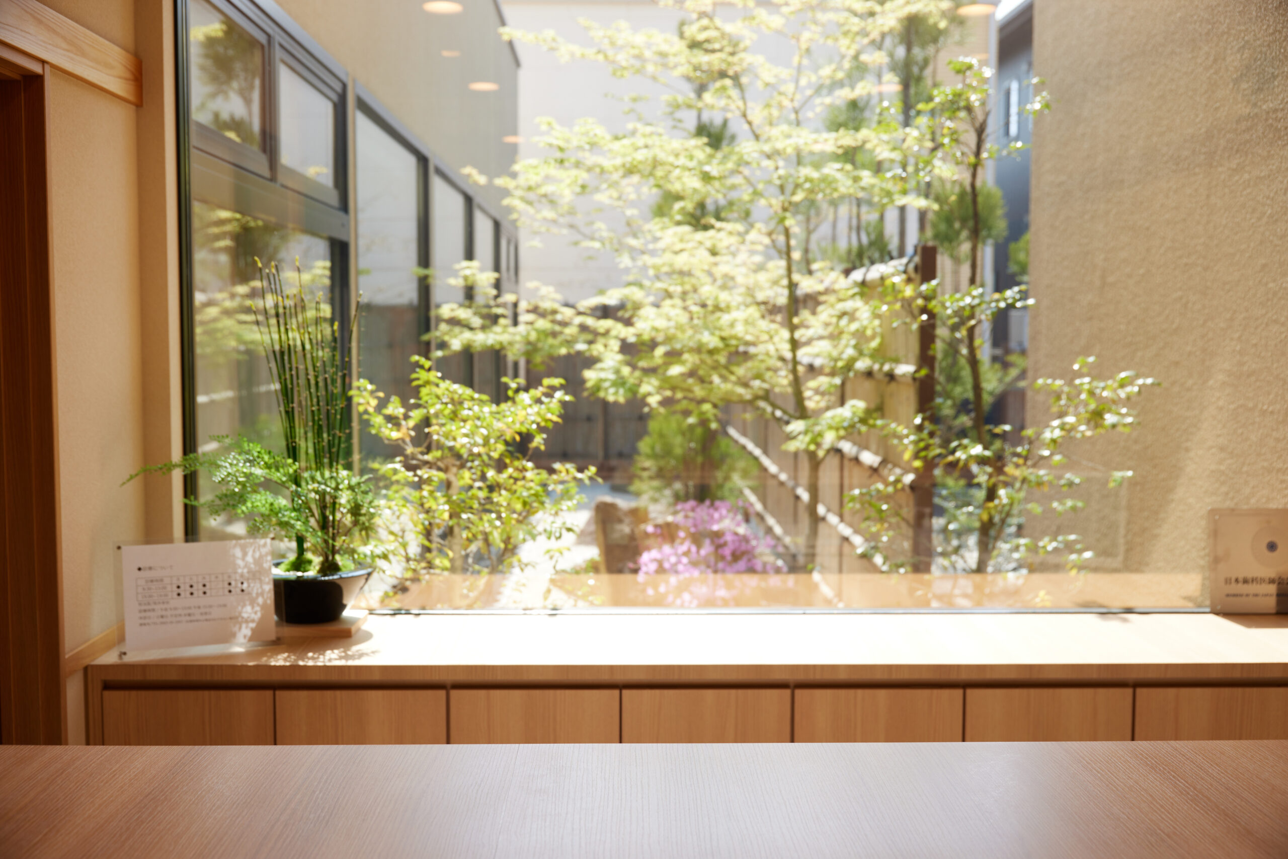 院内から見た中庭の様子