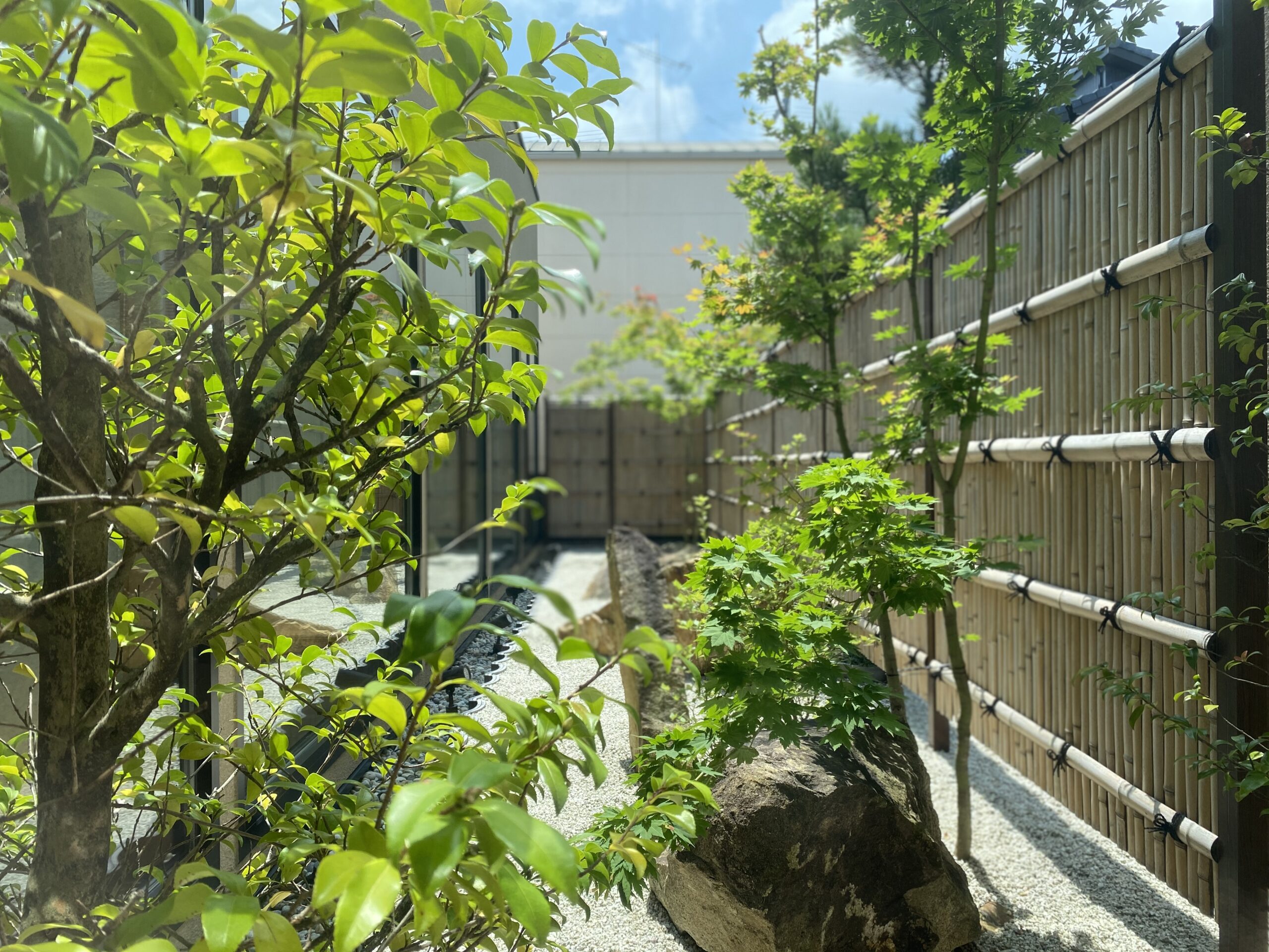 晴れた日のつつい歯科の中庭の様子