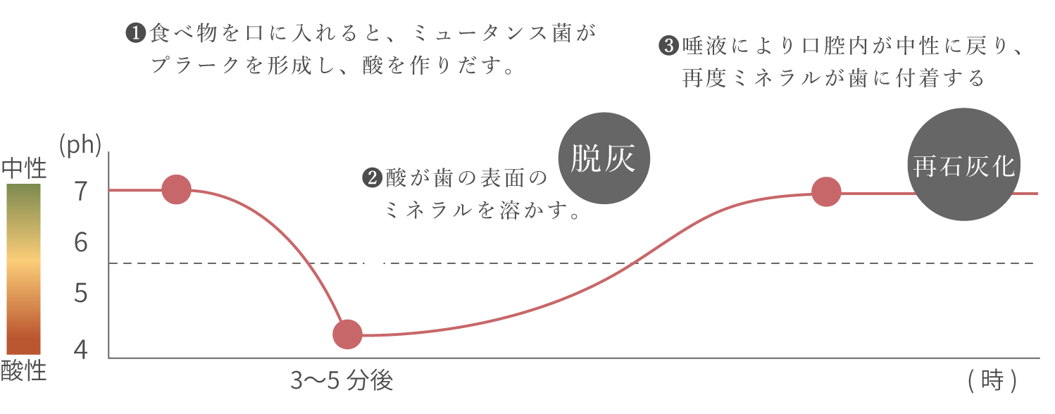 食事後のPHと脱灰と再石灰化の時間経過グラフ
